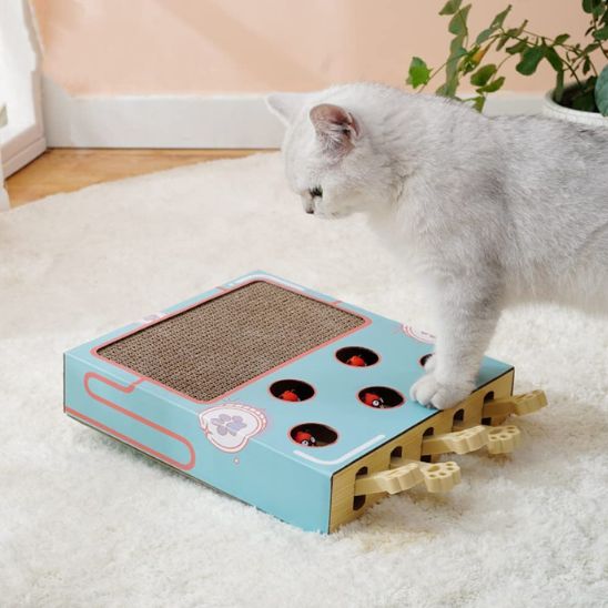 jouet interactif pour chat 3 en 1 Chasse Taupe