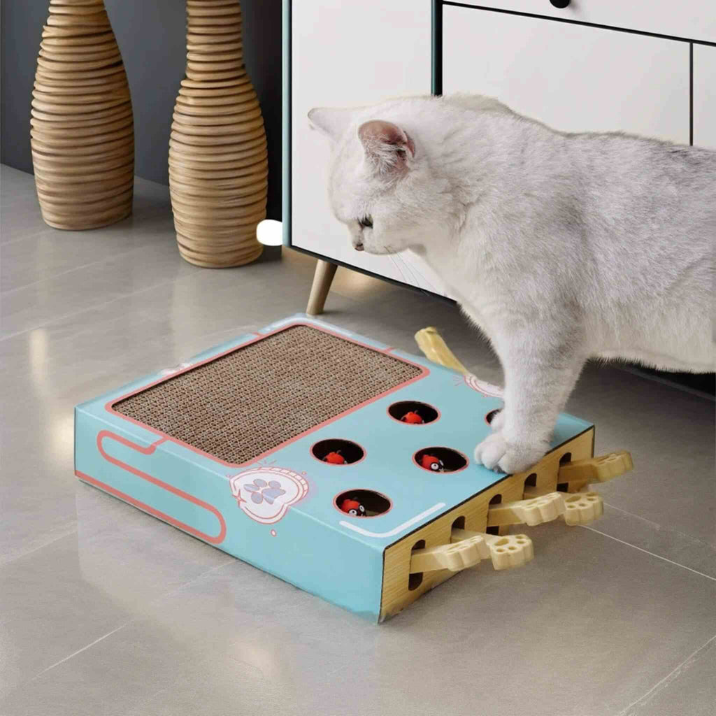 jouet interactif pour chat 3 en 1 Chasse Taupe