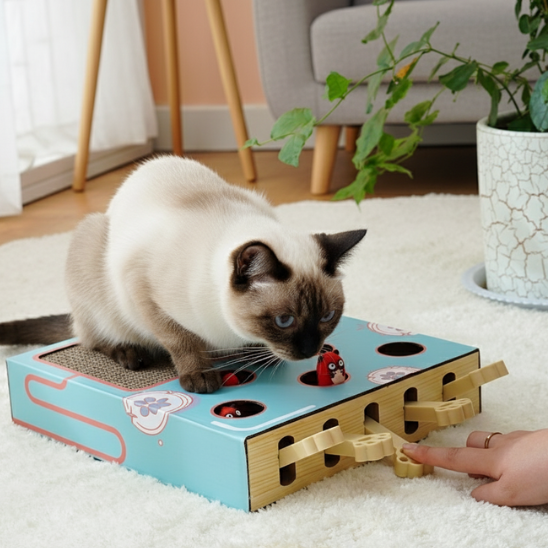 jouet interactif pour chat 3 en 1 Chasse Taupe
