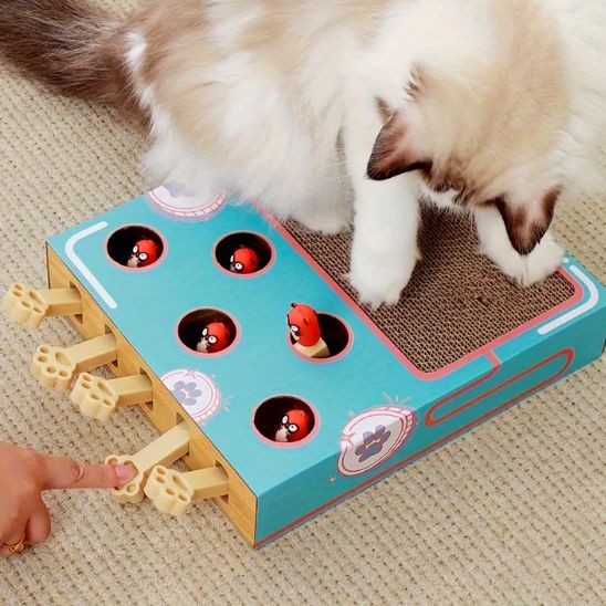 jouet interactif pour chat 3 en 1 Chasse Taupe