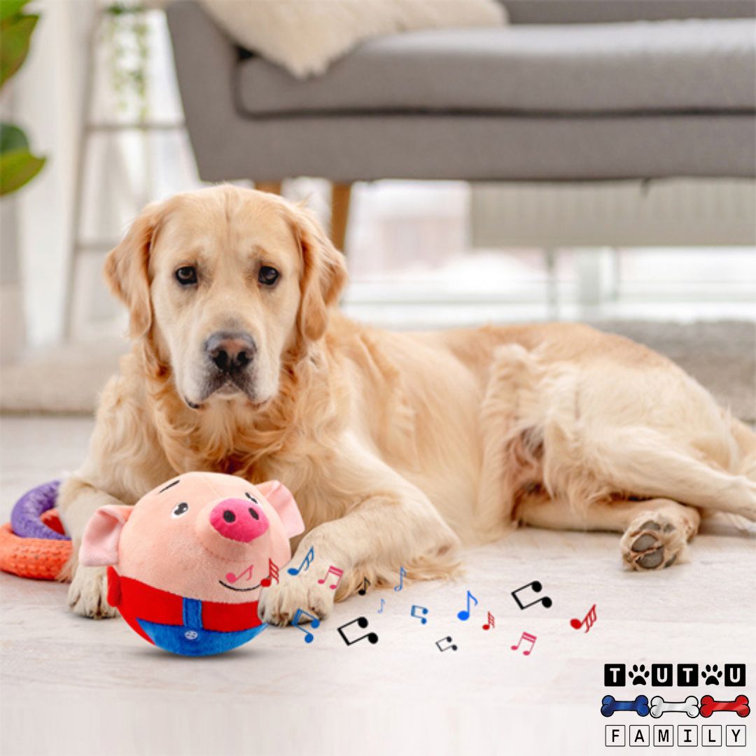 Jouet interactif pour chien - CochonToutou™