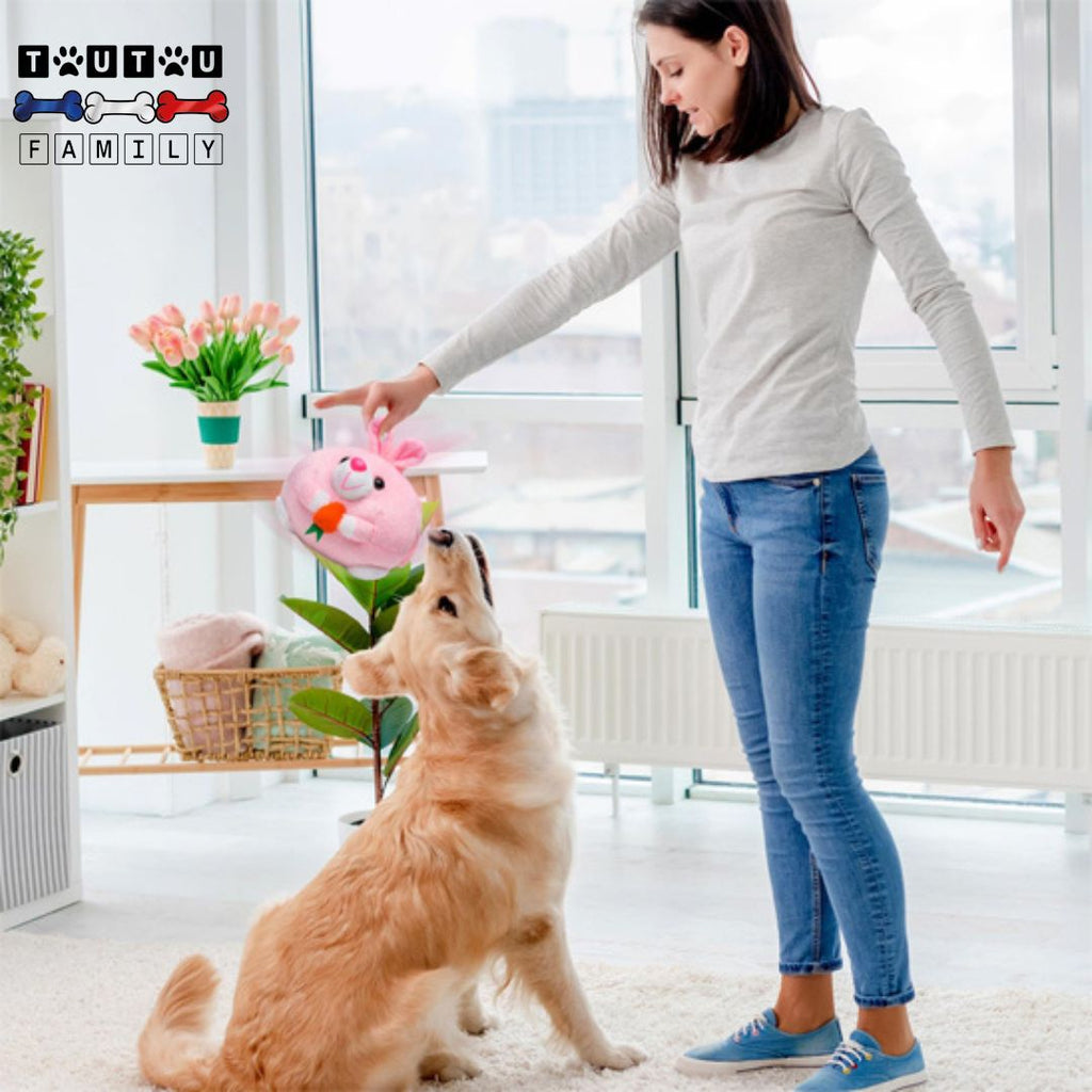 Jouet interactif pour chien - CochonToutou™