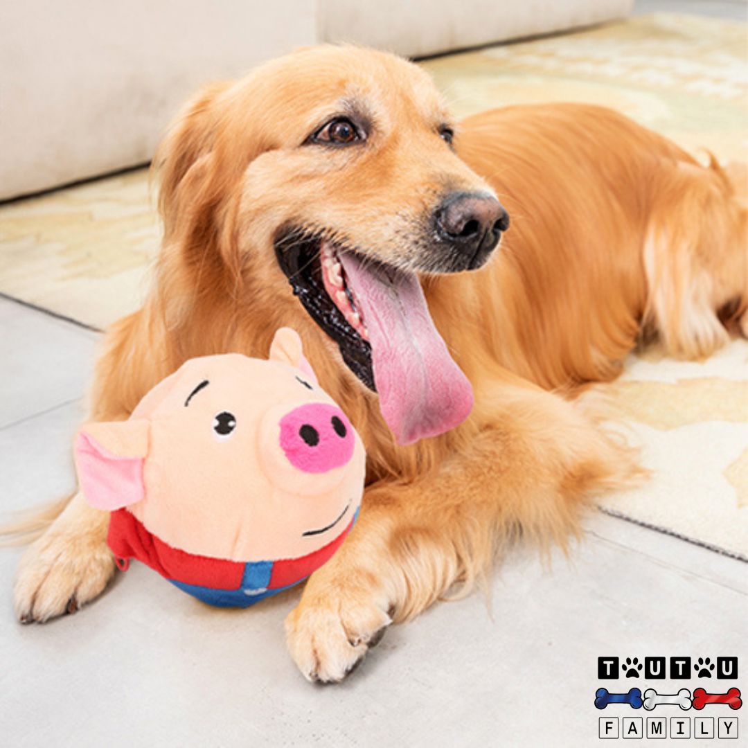 Jouet interactif pour chien - CochonToutou™
