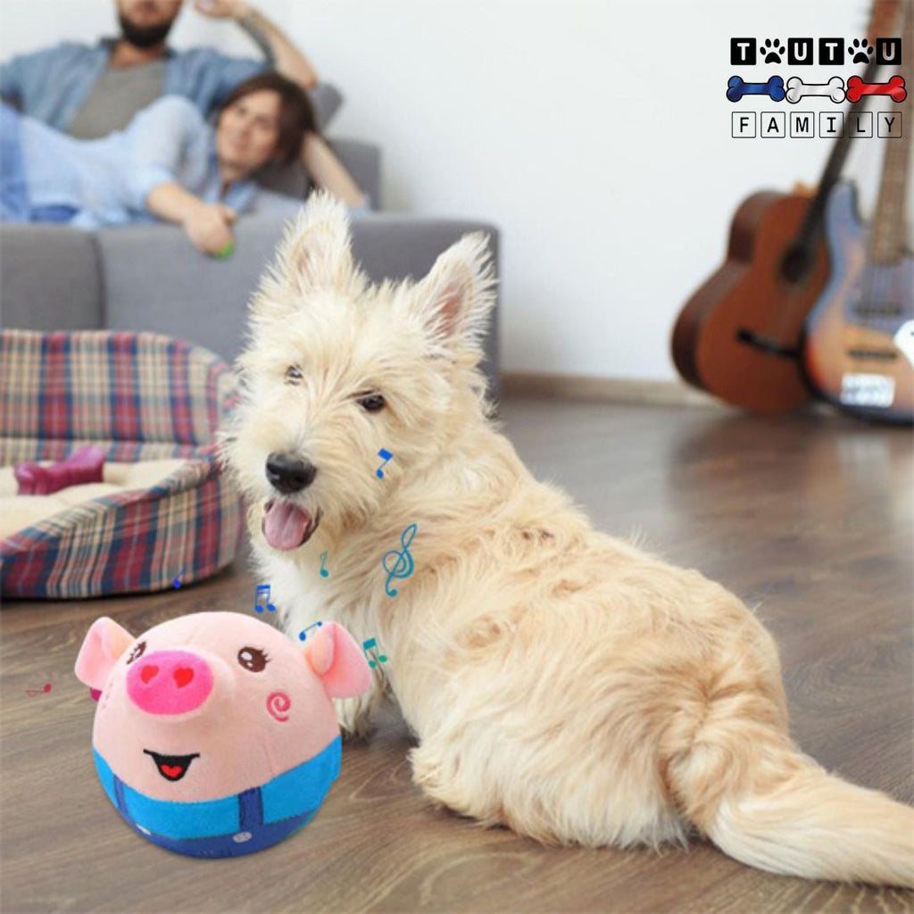 Jouet interactif pour chien - CochonToutou™