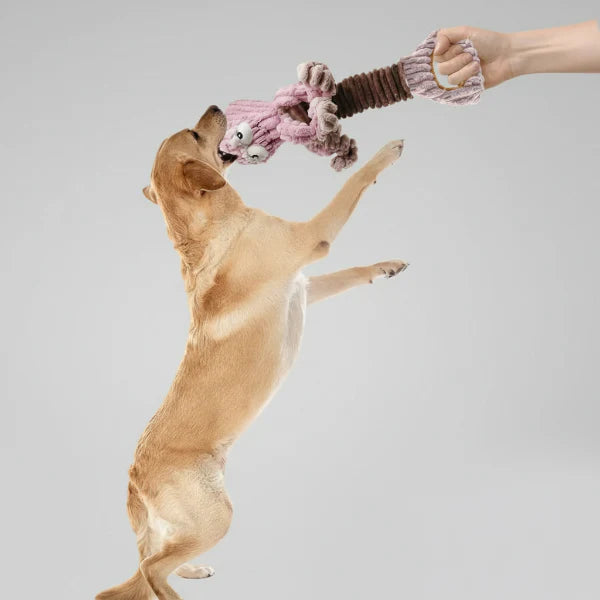 Jouet Interactif Forme Poulpe Pour Chien