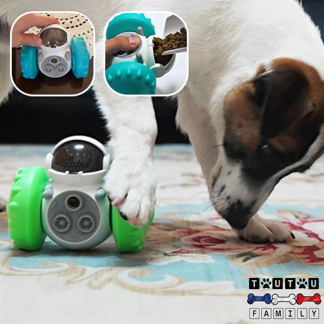 Jouet interactif pour chien - RouleToutou™