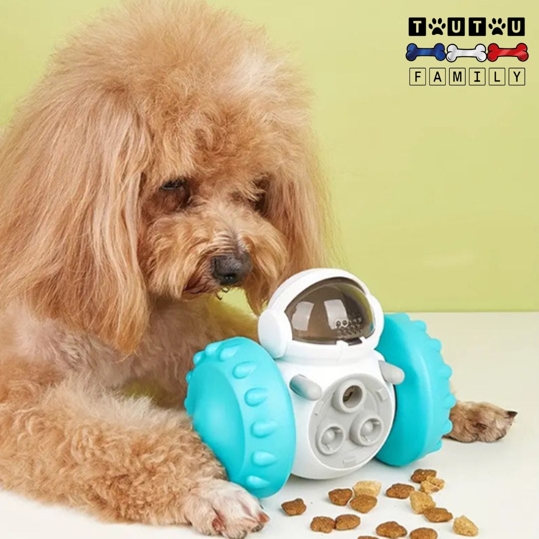 Jouet interactif pour chien - RouleToutou™