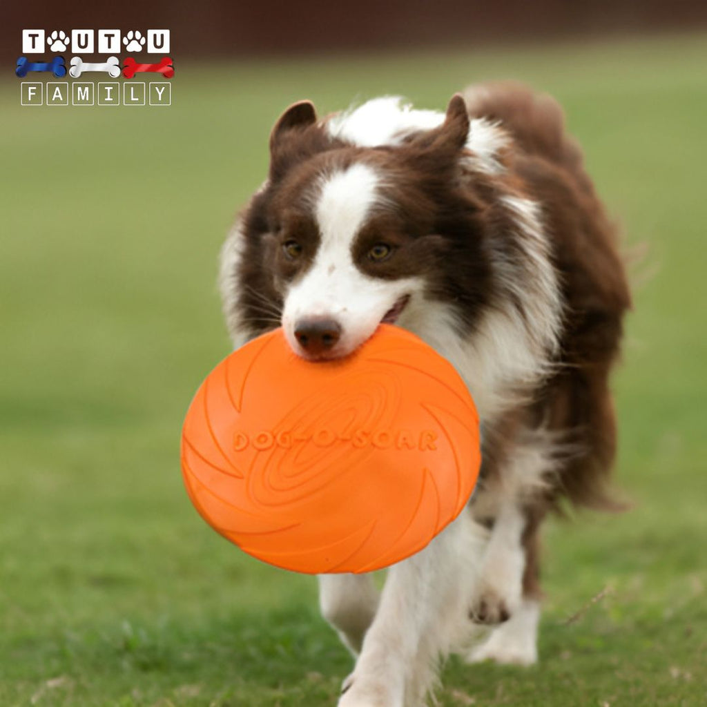 Jouet interactif pour chien - VolantToutou™