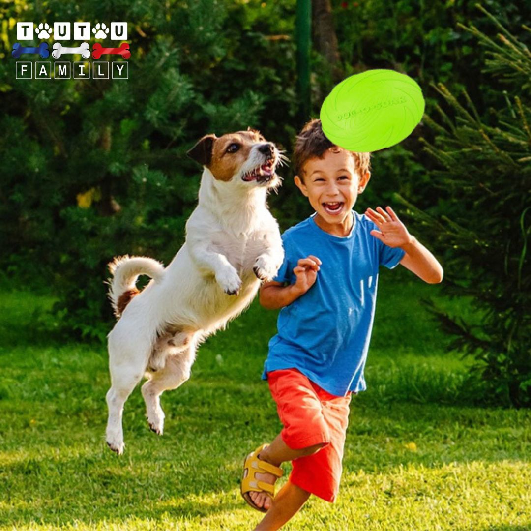 Jouet interactif pour chien - VolantToutou™