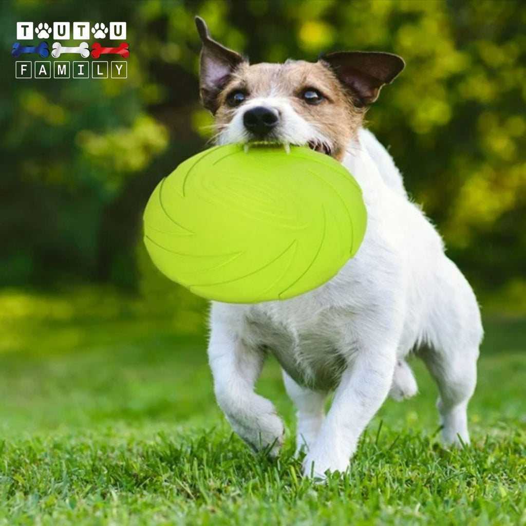 Jouet interactif pour chien - VolantToutou™