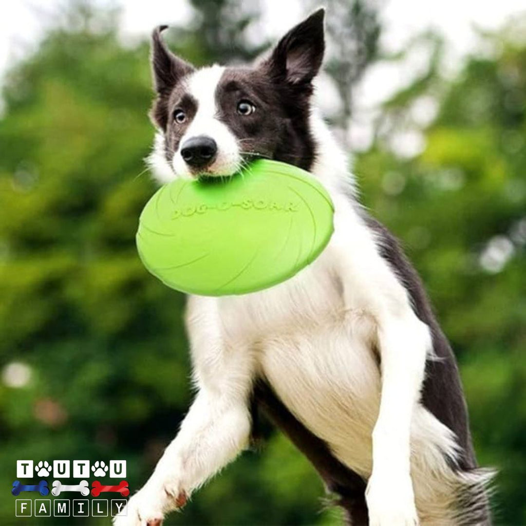 Jouet interactif pour chien - VolantToutou™