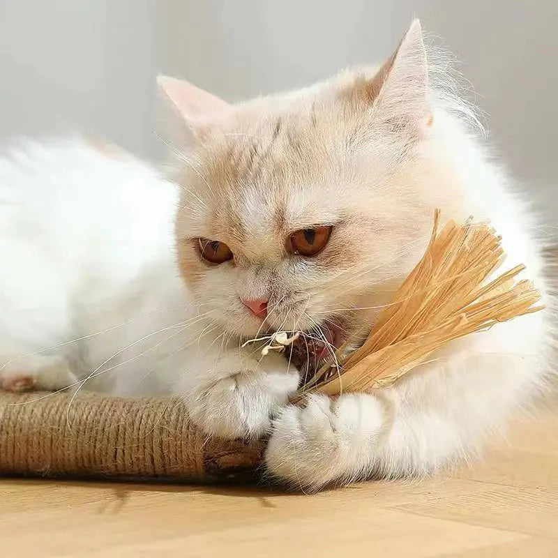 Jouet Naturel Pour Chat En Fibres Naturelles