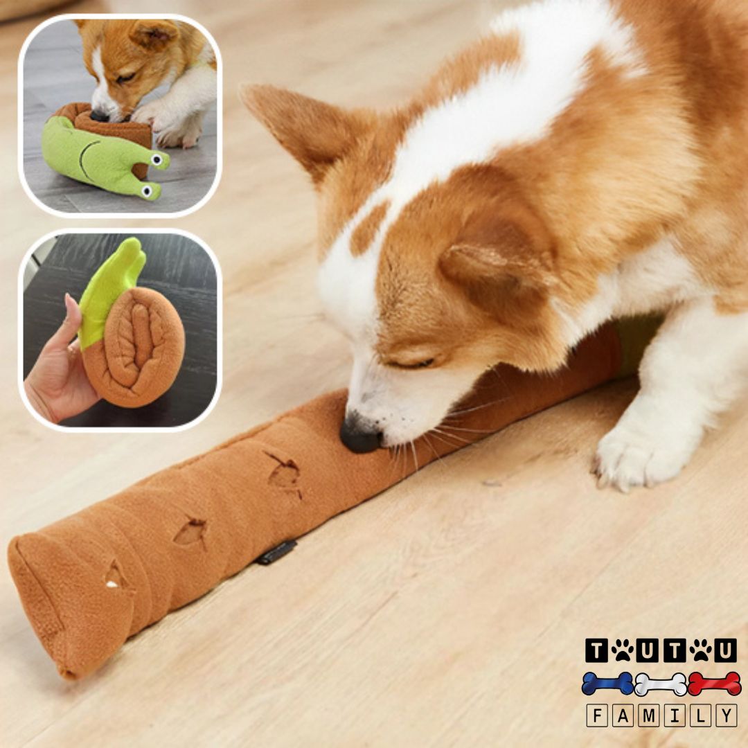 Jouet occupation chien - EscargoToutou™