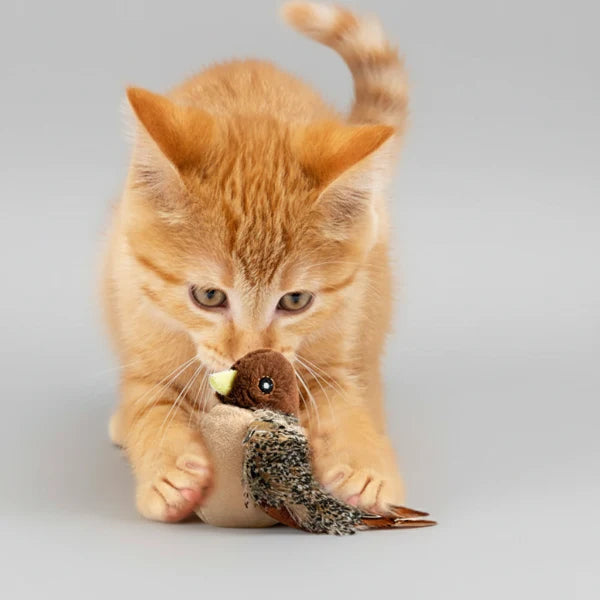 Jouet Oiseau Volant Interactif Pour Chat