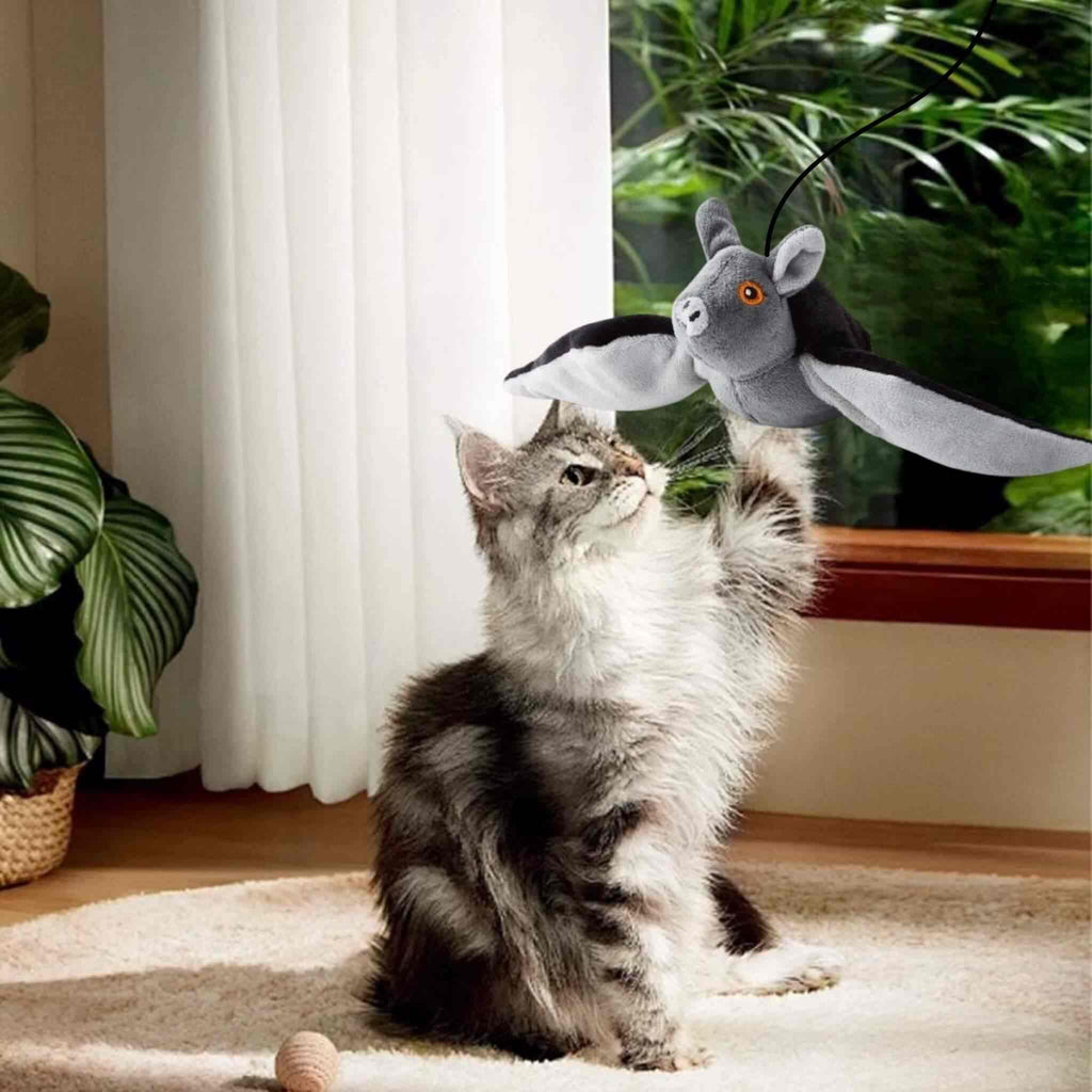 jouet oiseau pour chat | Chauve-Souris