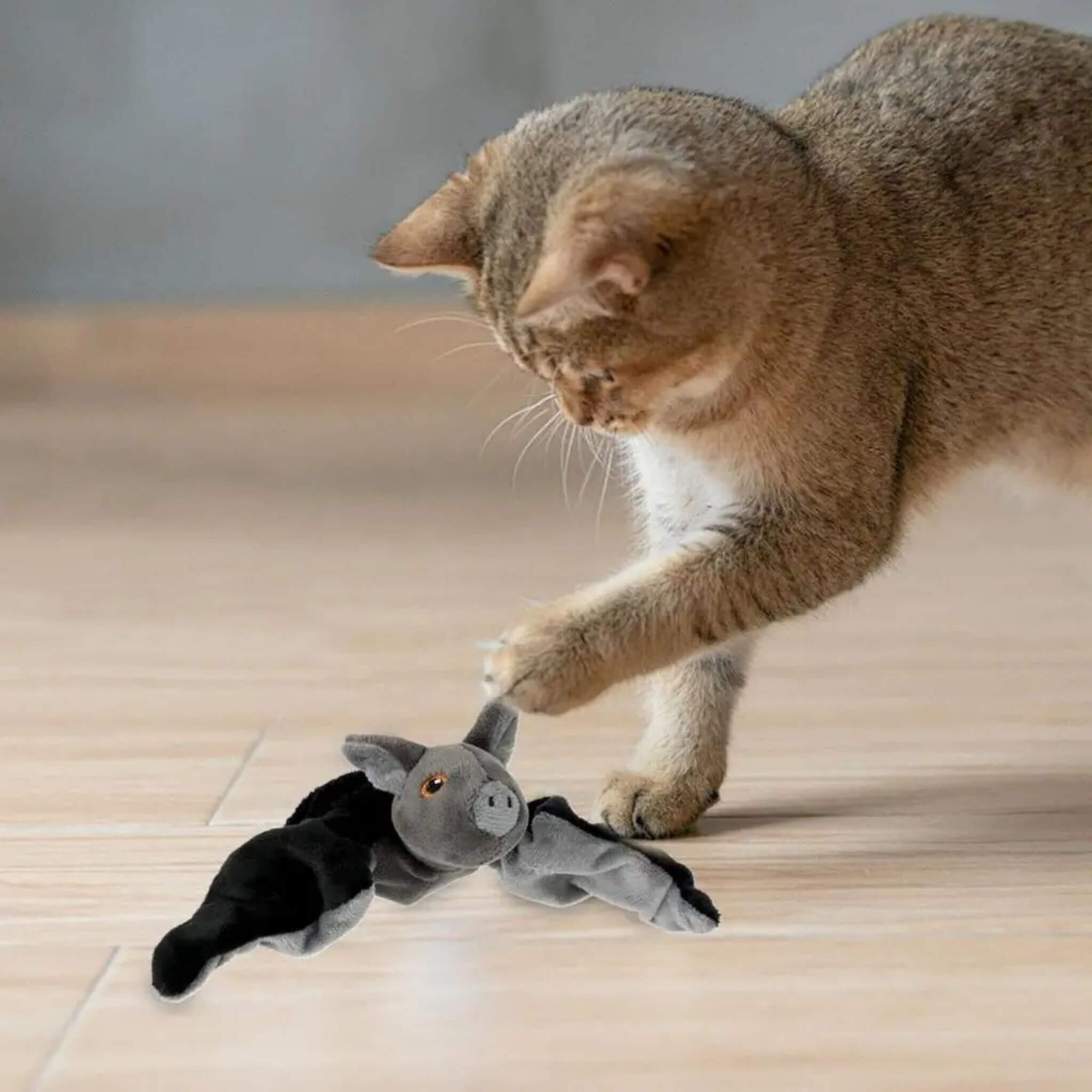 jouet oiseau pour chat | Chauve-Souris