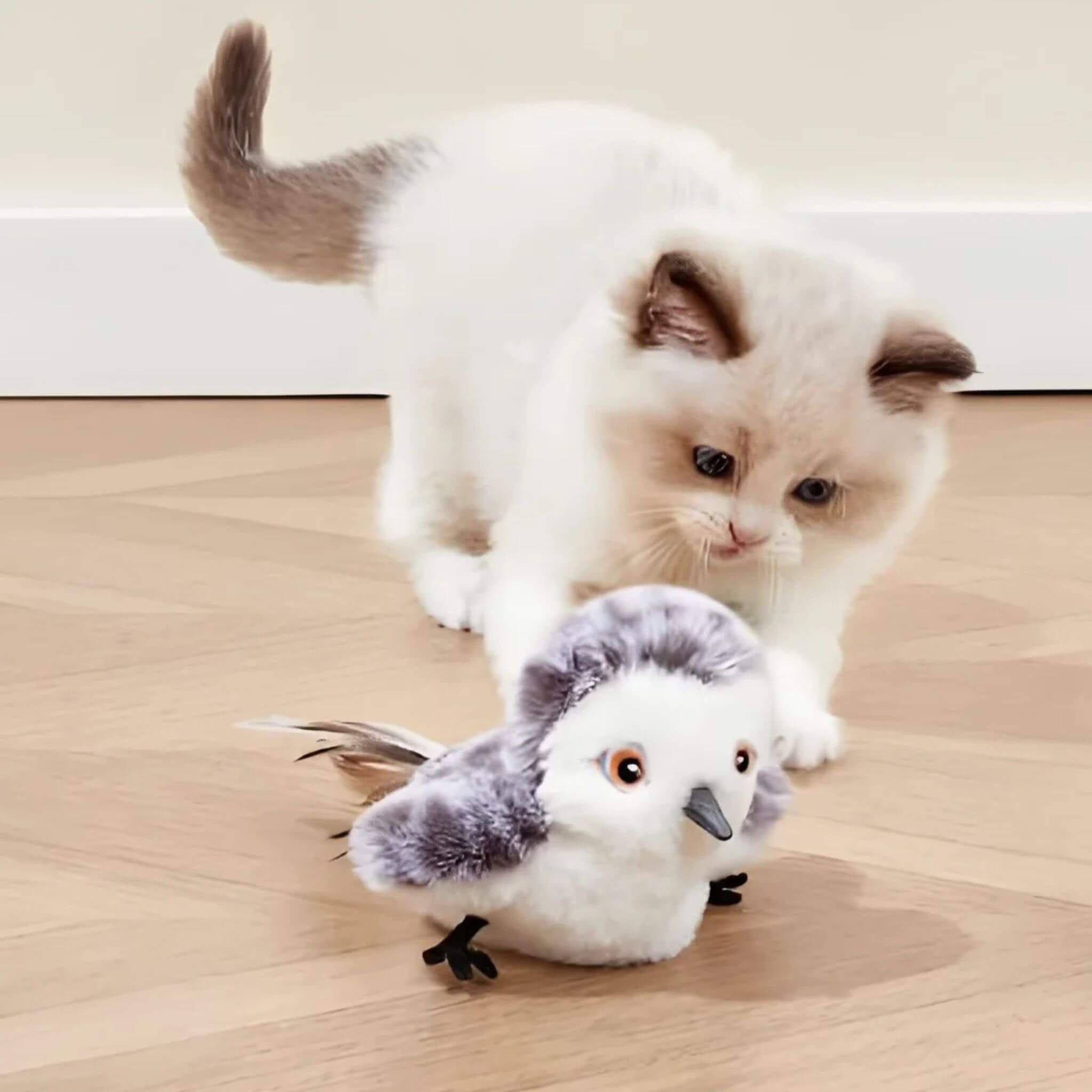 Jouet oiseau pour chat | Ailes Battantes