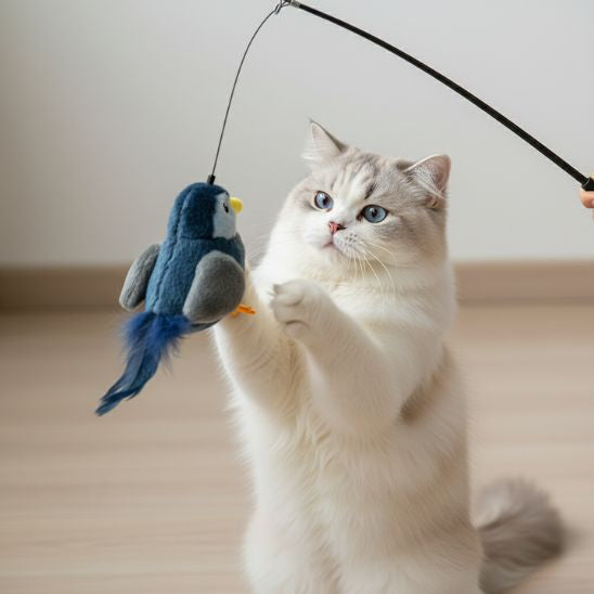 Jouet oiseau pour chat | Chasseur d'Ailes