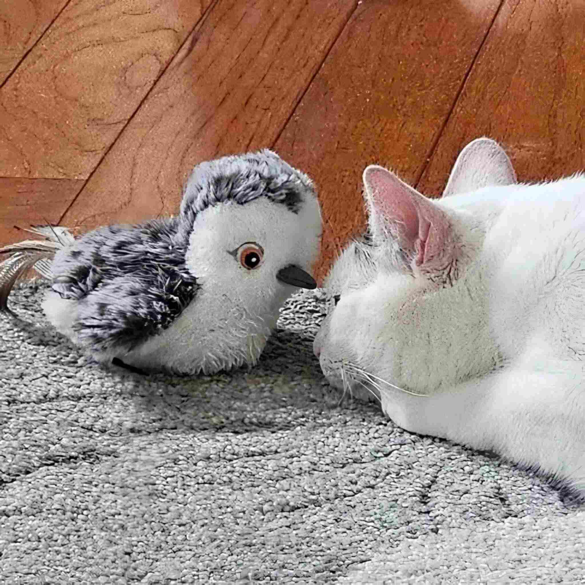 Jouet oiseau pour chat | Ailes Battantes