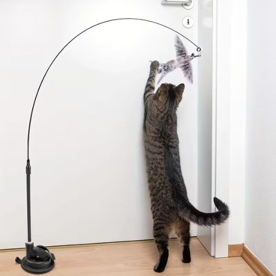 Jouet oiseau pour chat | Oiseau Farceur