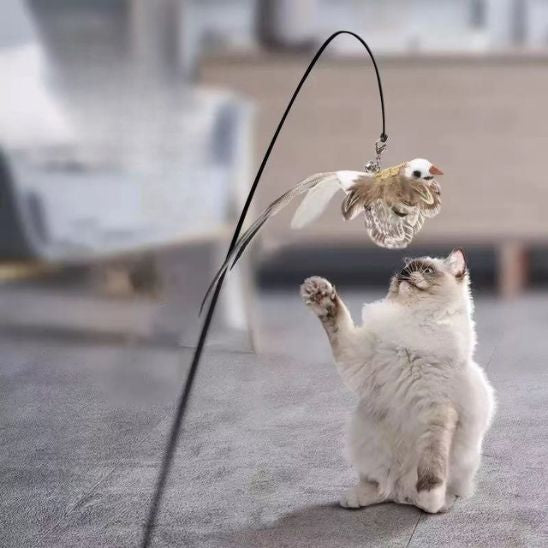 Jouet oiseau pour chat | Oiseau Farceur