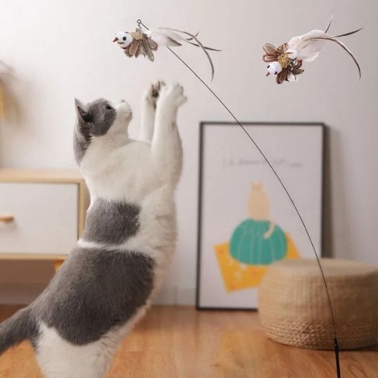 jouet-oiseau-pour-chat-oiseau-blanc-brun