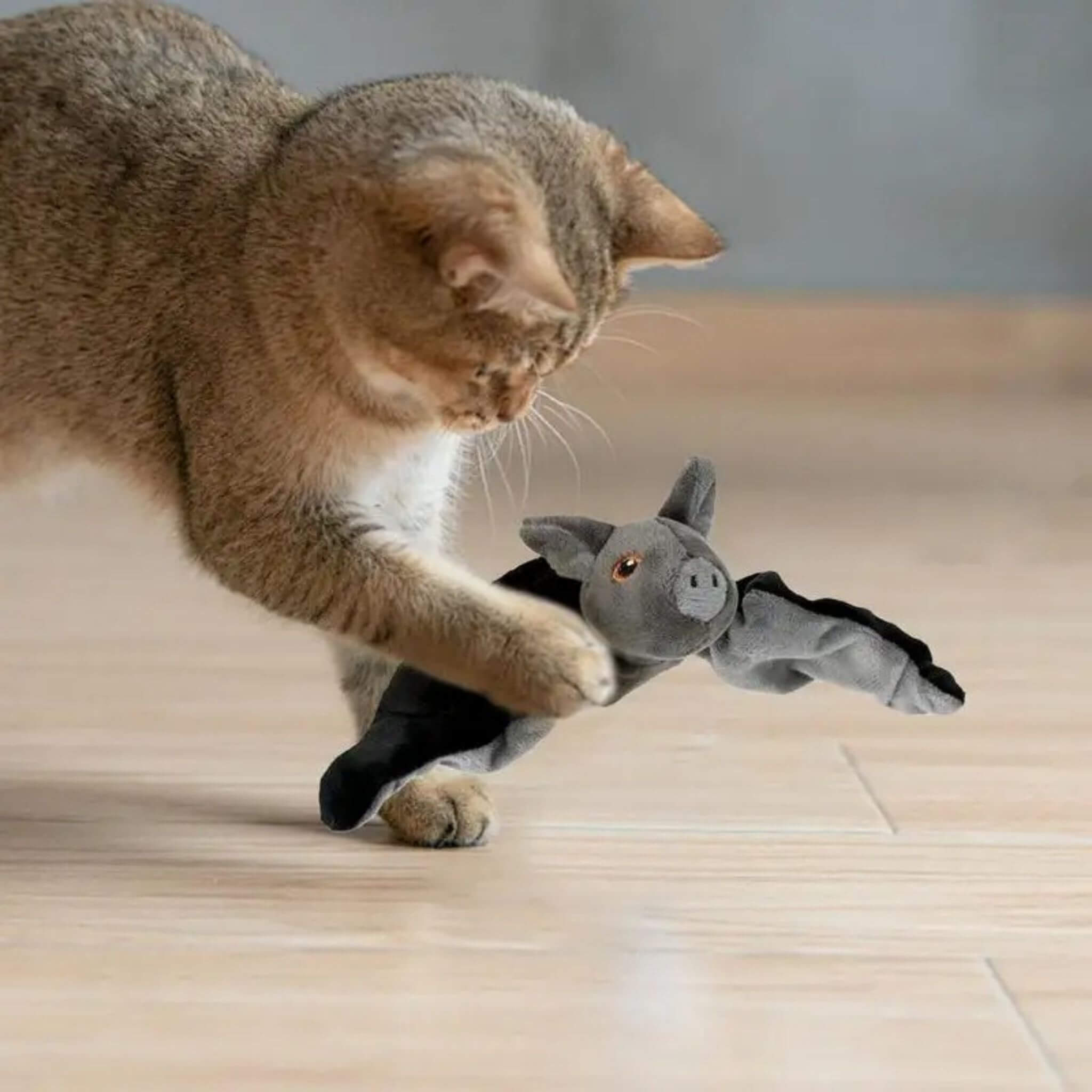 jouet oiseau pour chat | Chauve-Souris