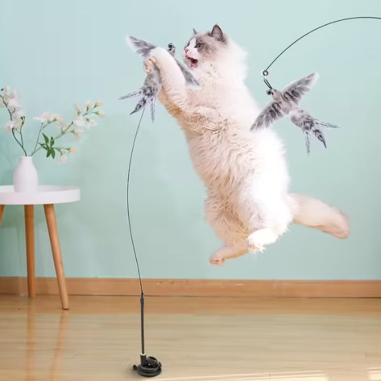 Jouet oiseau pour chat | Oiseau Farceur