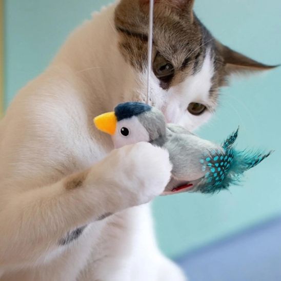 Jouet oiseau pour chat | Chasseur d'Ailes