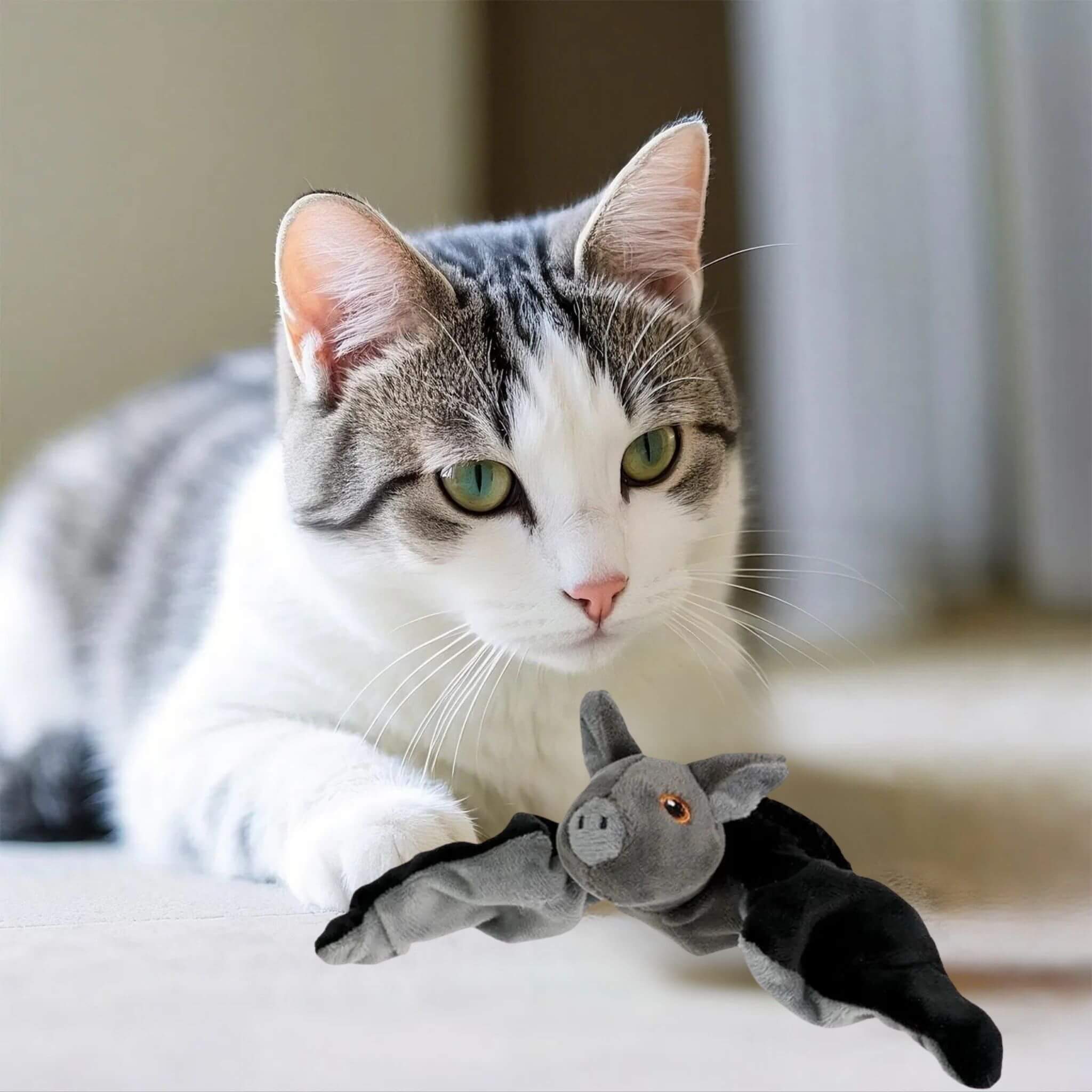 jouet oiseau pour chat | Chauve-Souris