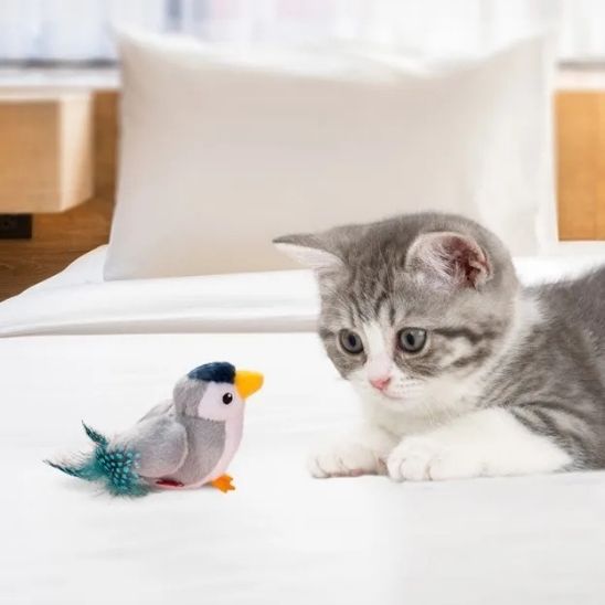Jouet oiseau pour chat | Chasseur d'Ailes