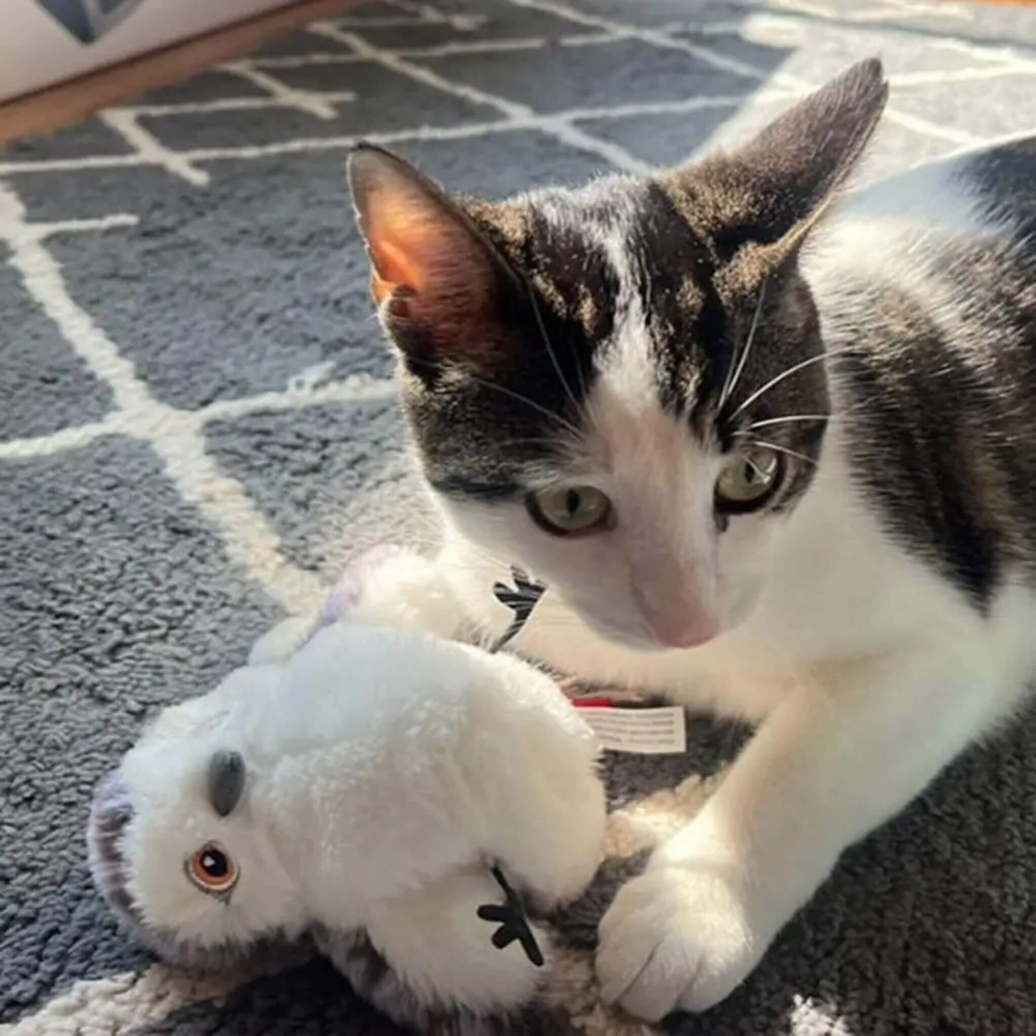 Jouet oiseau pour chat | Ailes Battantes