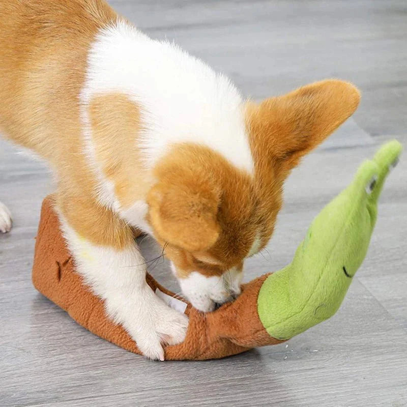 Jouet Olfactif Et Sonore Avec Distributeur de Croquettes Pour Chien