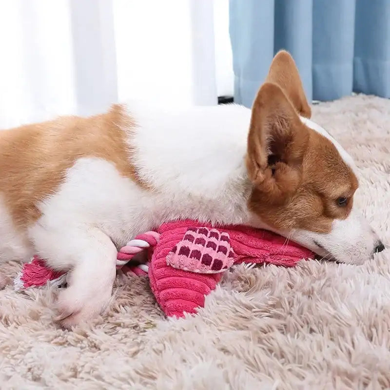 Jouet Peluche Flamant Rose Pour Chien