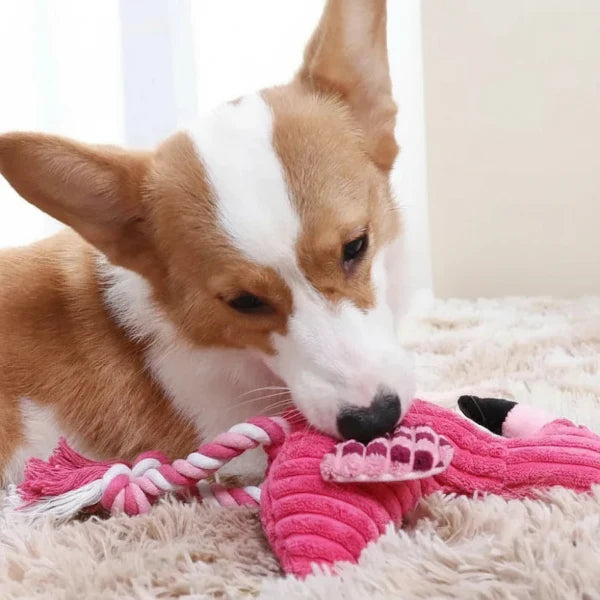 Jouet Peluche Flamant Rose Pour Chien