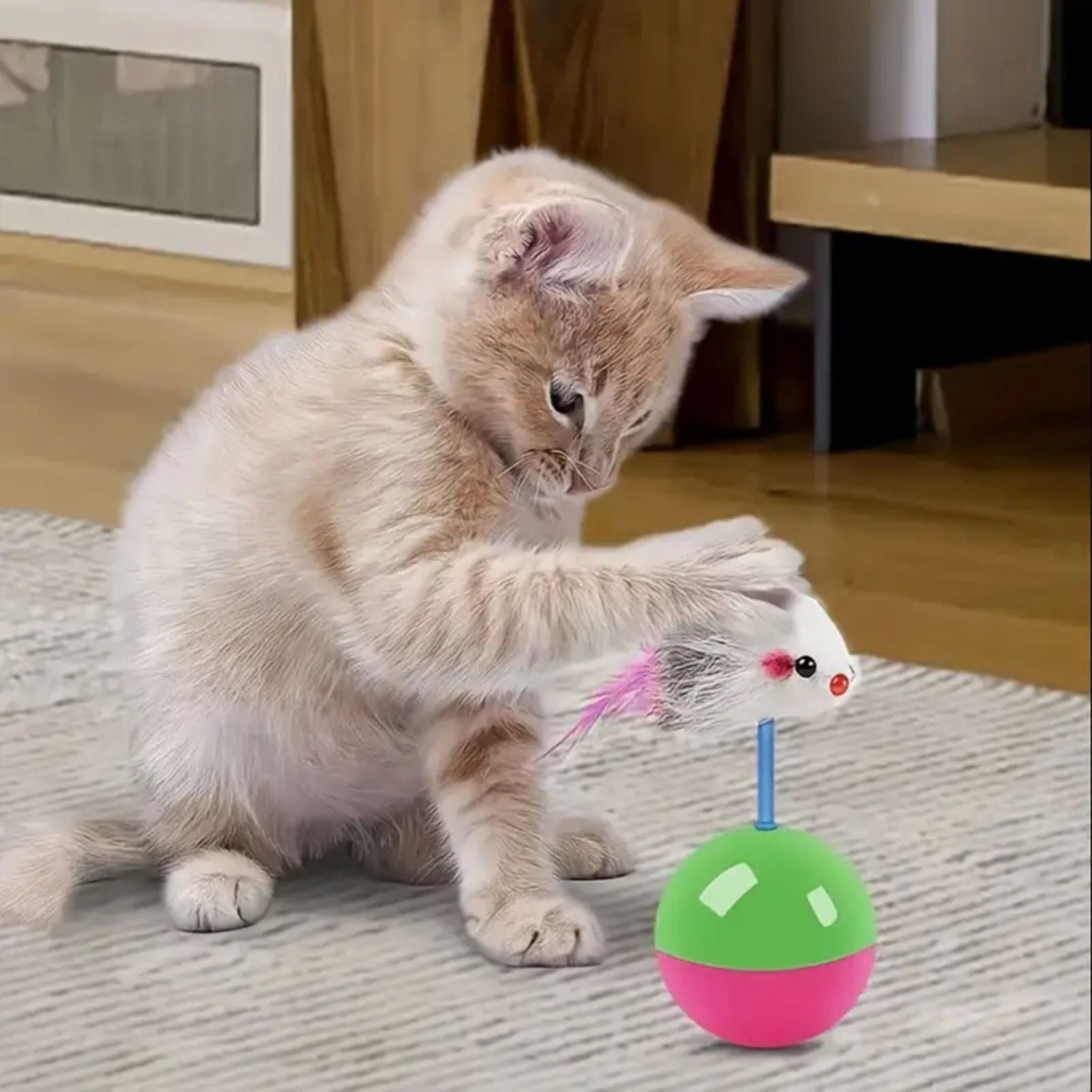 jouet pour chat | JOUMOUSE'BALL