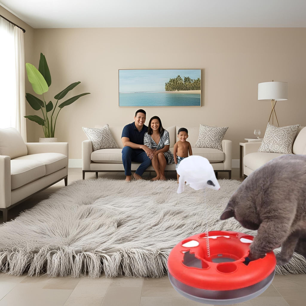 jouet pour chat | JOUSPINNING-BALL