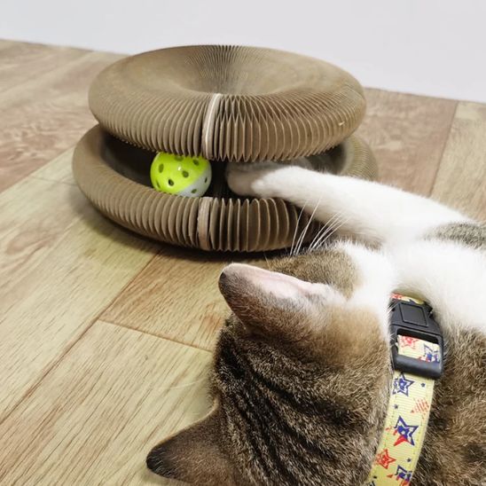 jouet pour chat | JOUGRIFF