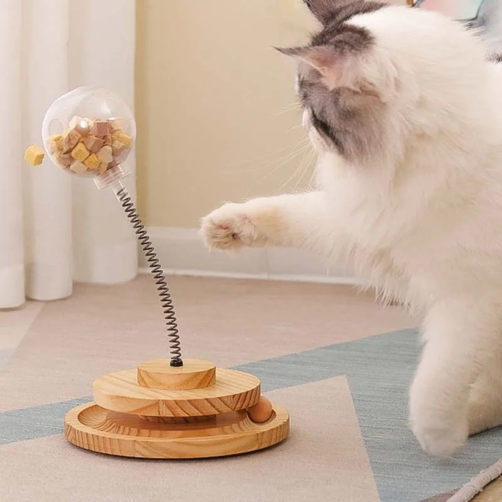 jouet pour chat |JOUCANDY