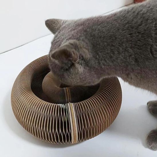 jouet pour chat | JOUGRIFF