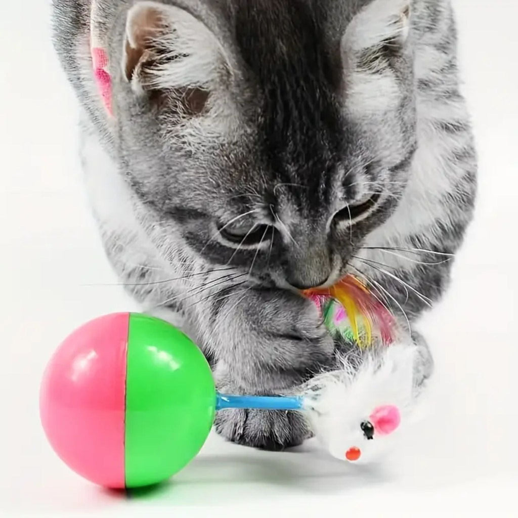 jouet pour chat | JOUMOUSE'BALL