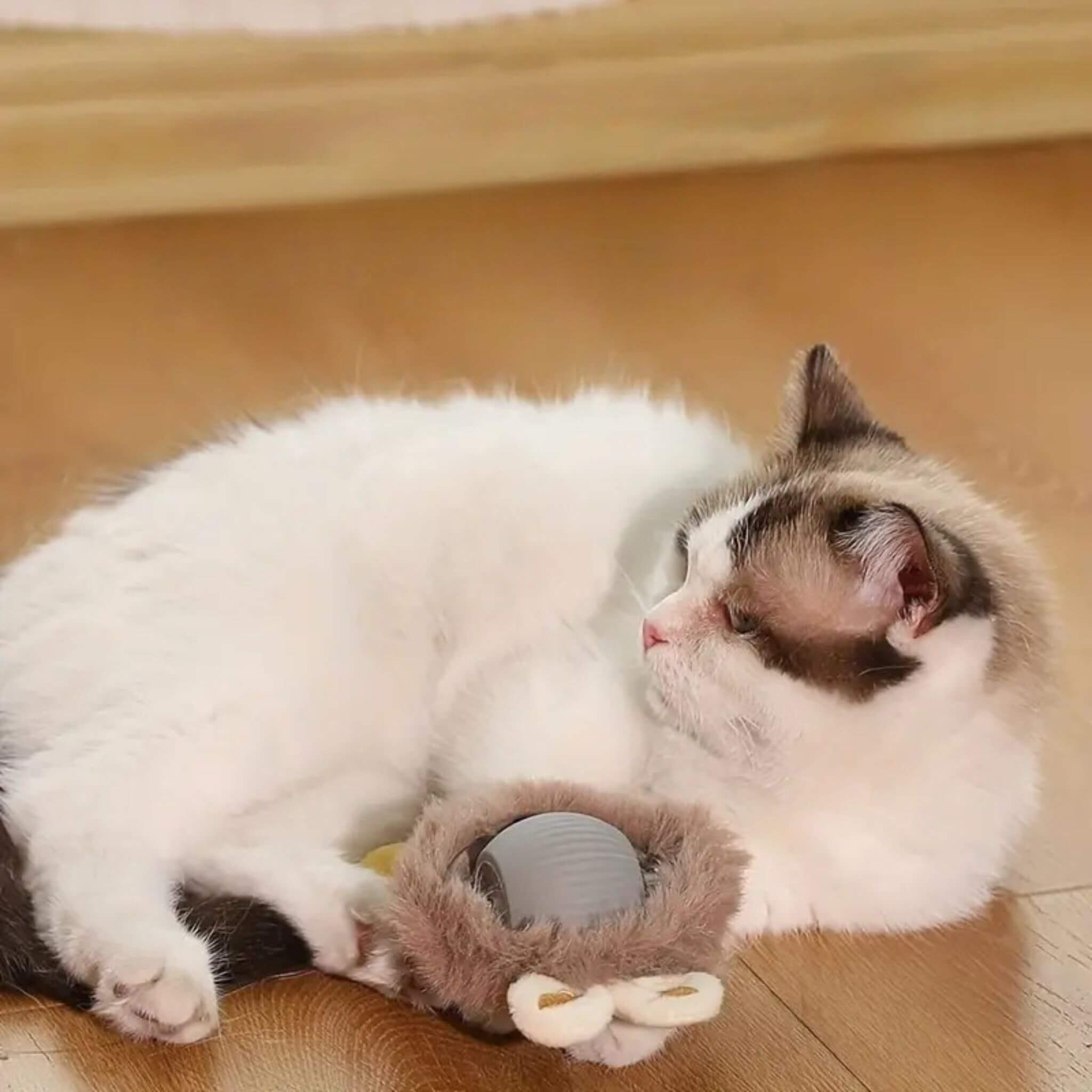 jouet pour chat | La Balle Fougueuse Lapin