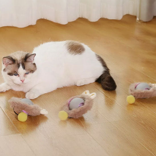 jouet pour chat | La Balle Fougueuse Lapin