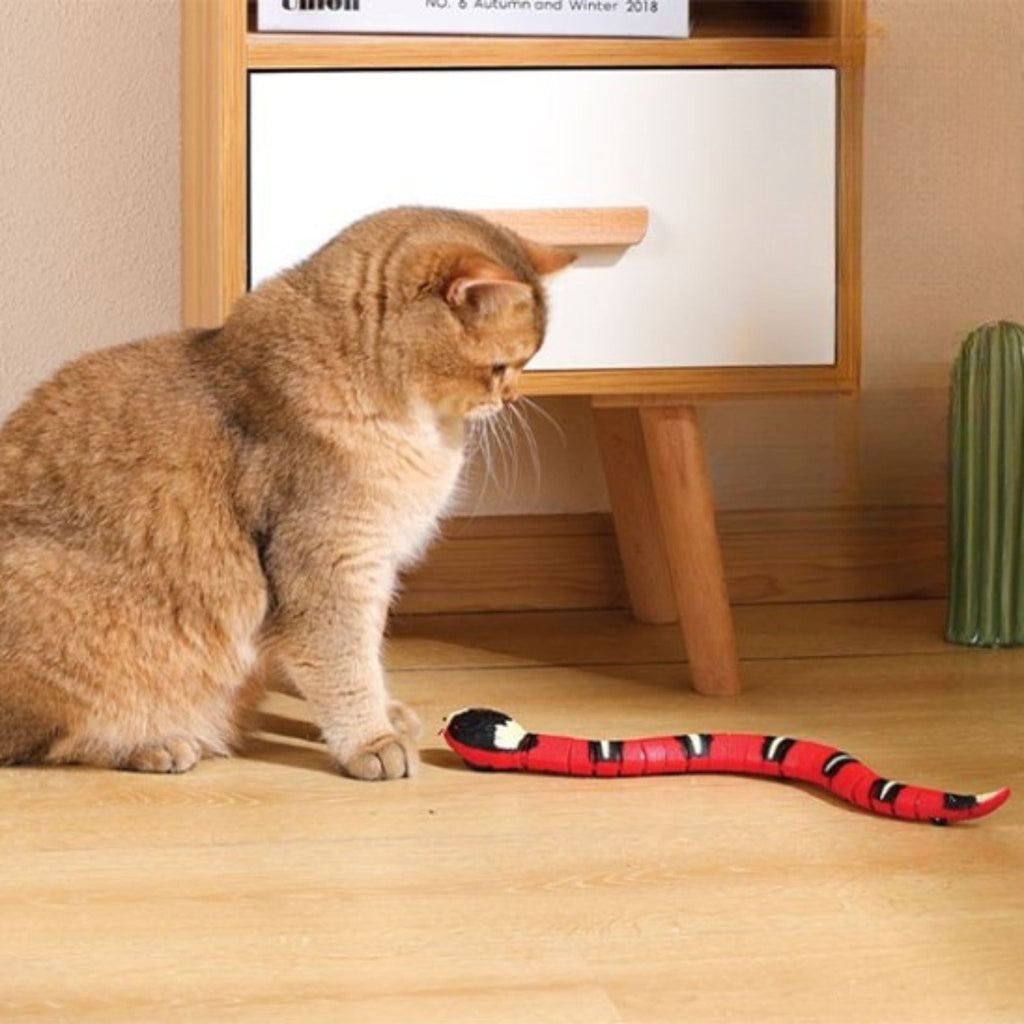 jouet pour chat | JOUSNAKE