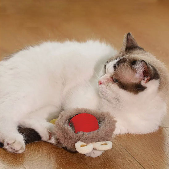 jouet pour chat | La Balle Fougueuse Lapin