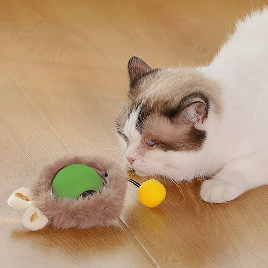 jouet pour chat | La Balle Fougueuse Lapin
