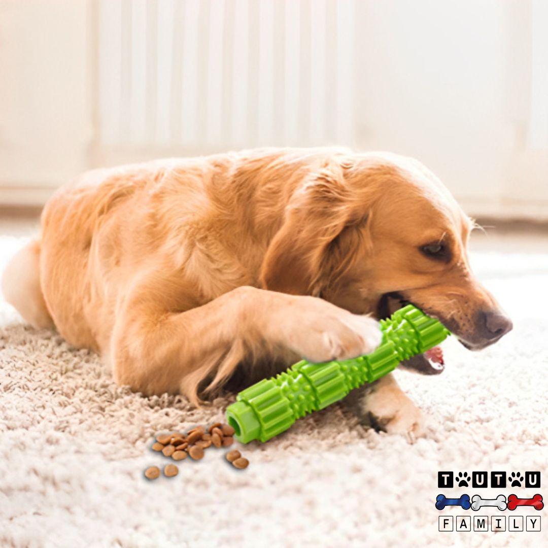 Jouet pour chien à mâcher - MordilleToutou™