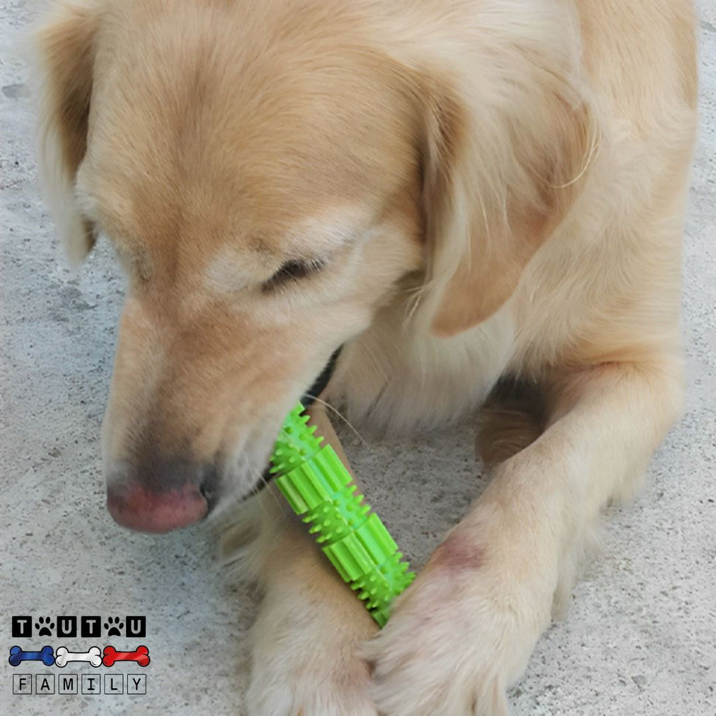 Jouet pour chien à mâcher - MordilleToutou™