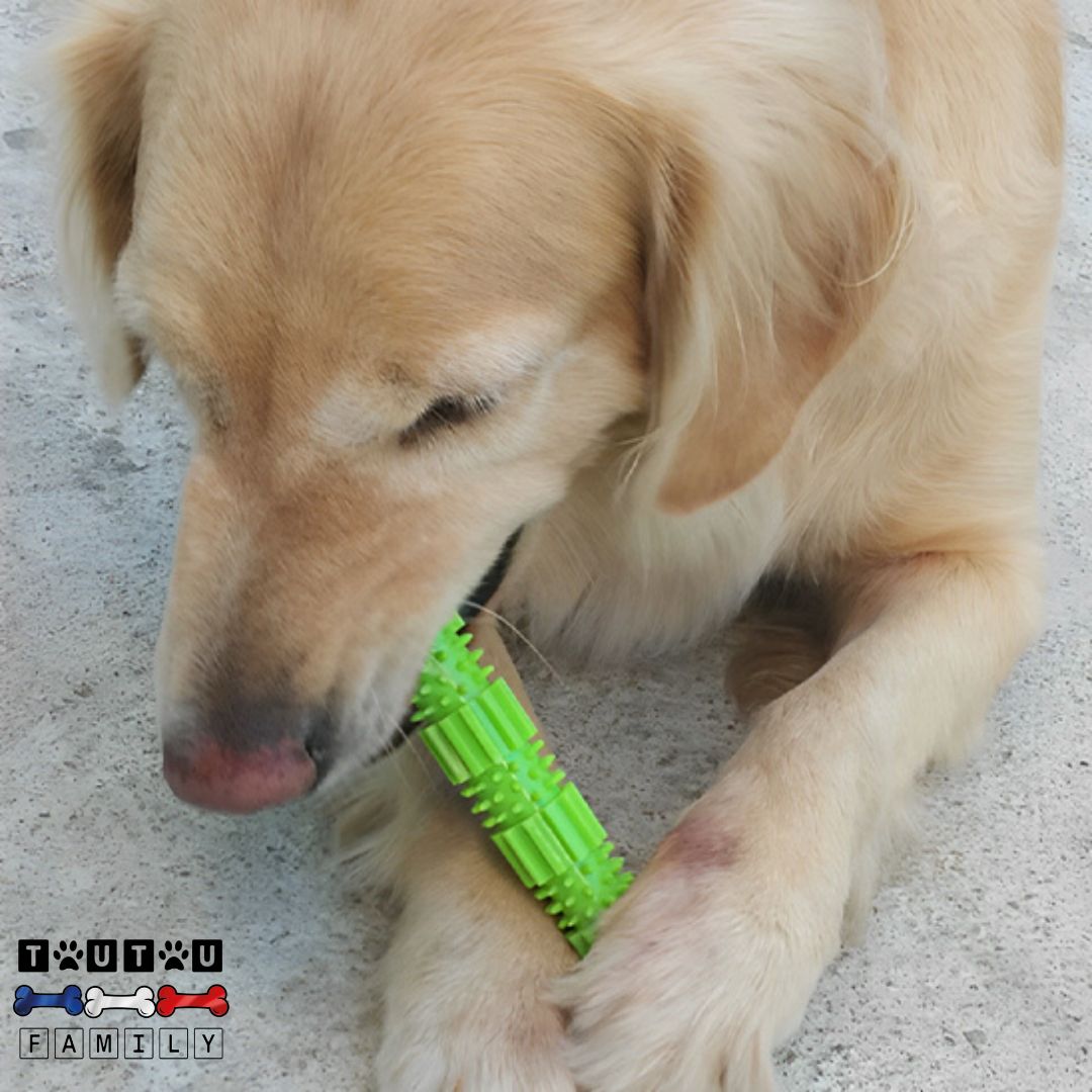 Jouet pour chien à mâcher - MordilleToutou™