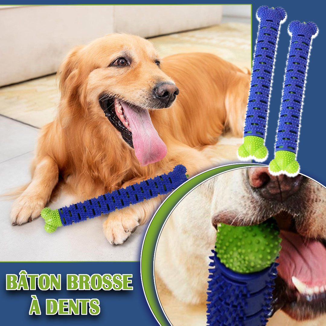 Jouet pour chien dentaire | DentiPup™
